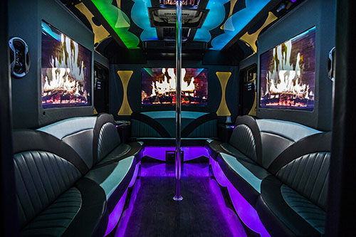 25-passenger party bus rental